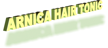 ARNICHAIR.gif (169643 bytes)